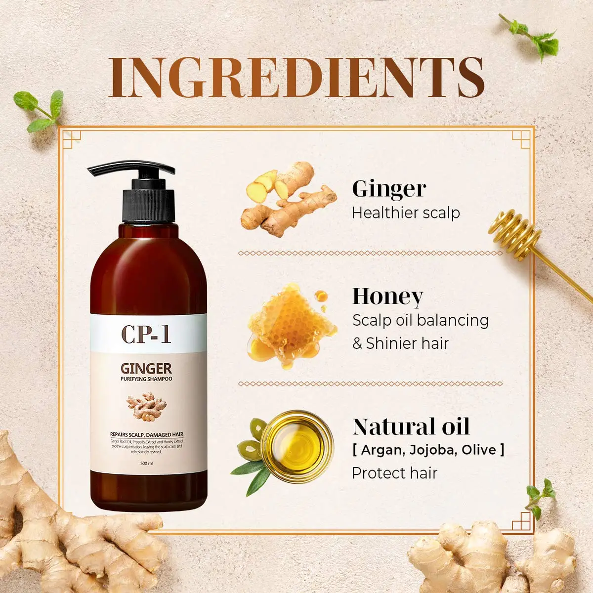 esthetic-house-cp-1-ginger-purifying-shampoo-500-ml-13317166352418
