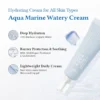 Dr._Althea_Aqua_Marine_Watery_Cream1